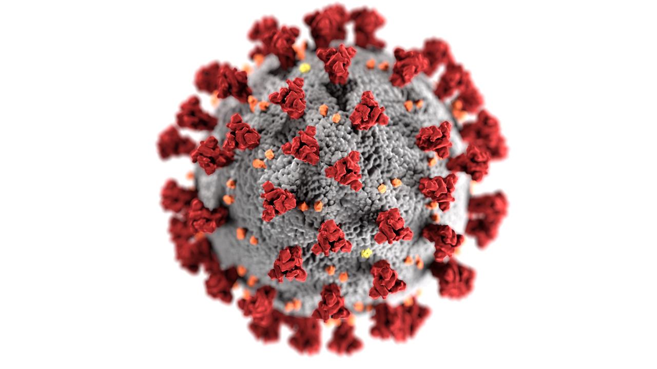 sport acquatici ai tempi del coronavirus