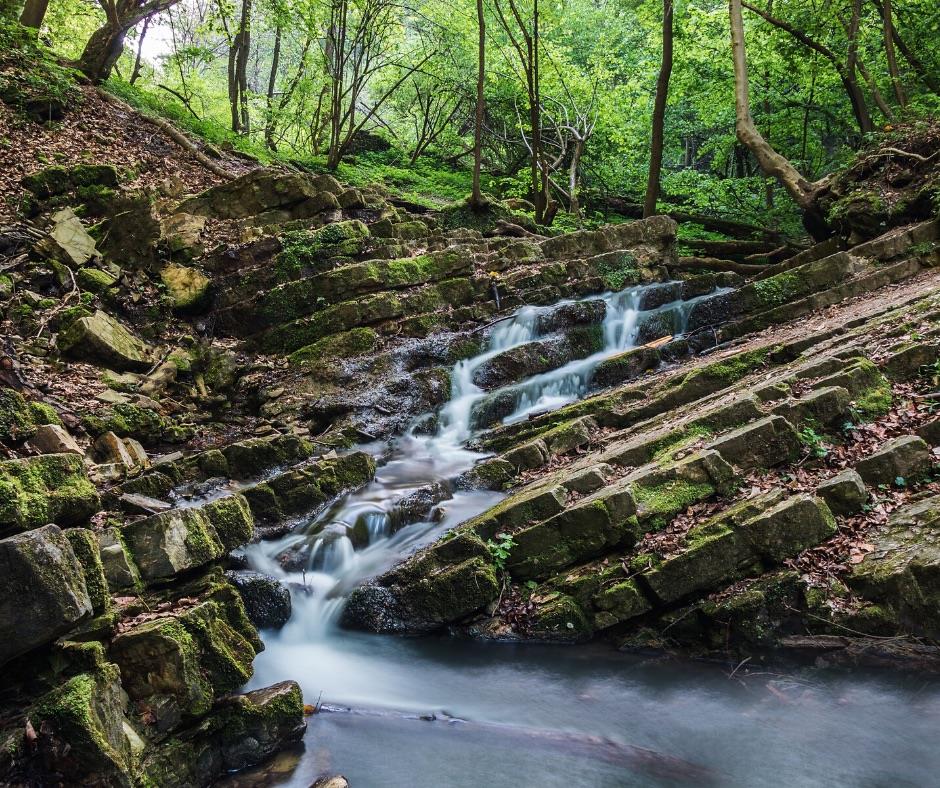 perchè si dice l'acqua è vita